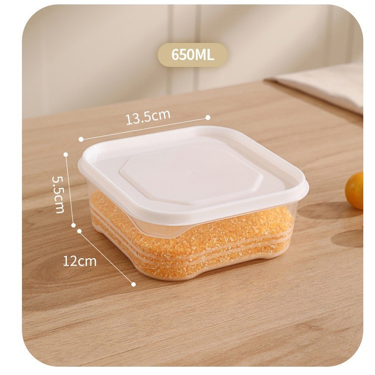 Food-Grade Freezing Container  - Food Storage Box Plastic recensione e prezzo