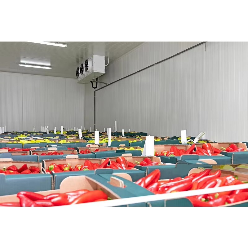 Customized Cold Room Hot Sale  - Food Storage Keep Hot recensione e prezzo