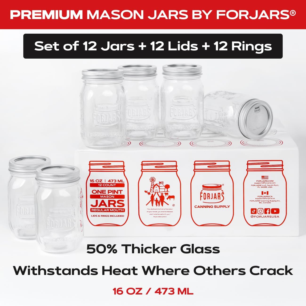 ® Premium    Jars with Lids –  - Food Storage Plastic recensione e prezzo