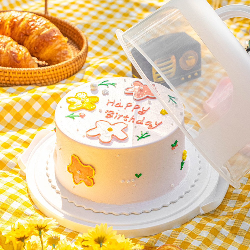 Cake Storage Box 10 Inch Round - Food Storage Box Plastic recensione e prezzo