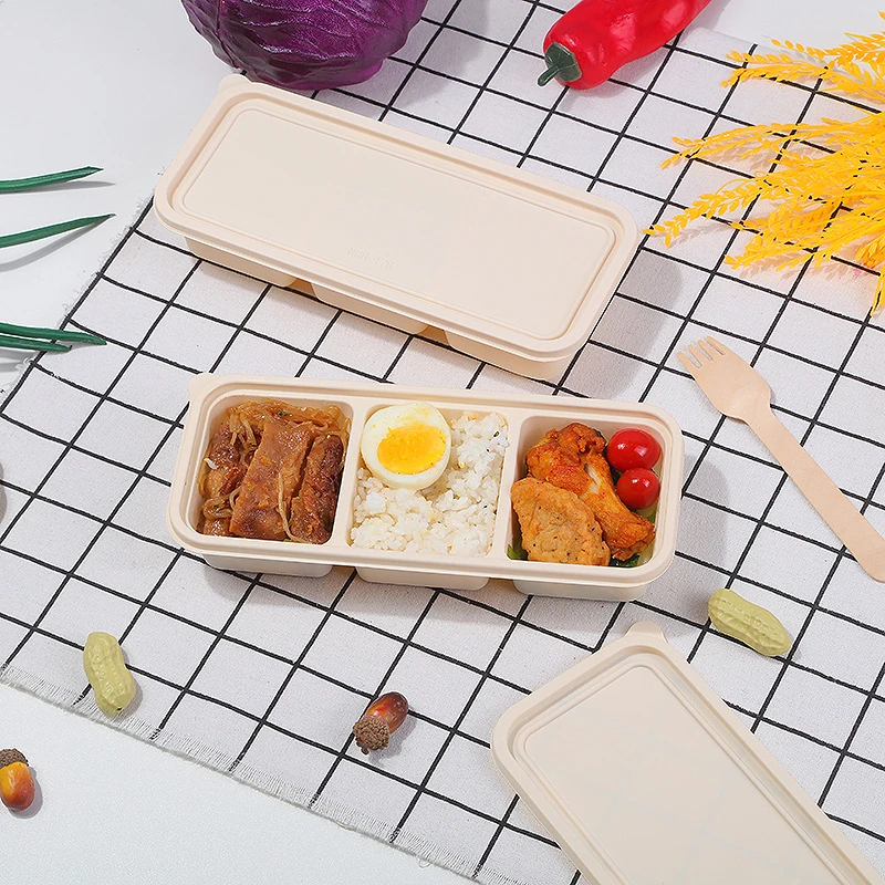 Hamburger Lunch Box Double Tie - Food Storage Drawer Organizer recensione e prezzo