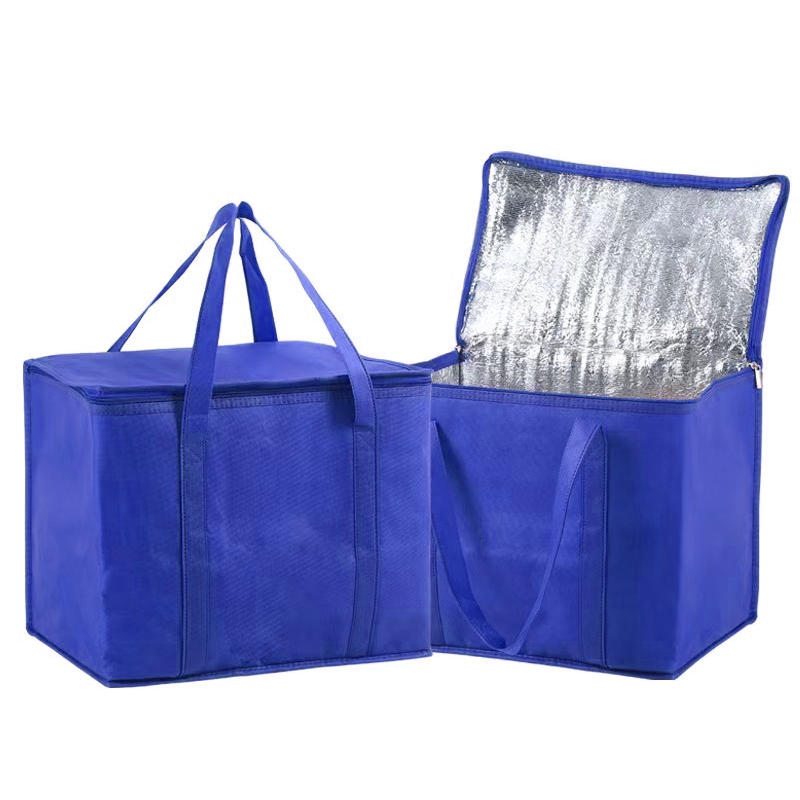 Large Insulated Reusable Groce - Food Storage Keep Hot recensione e prezzo