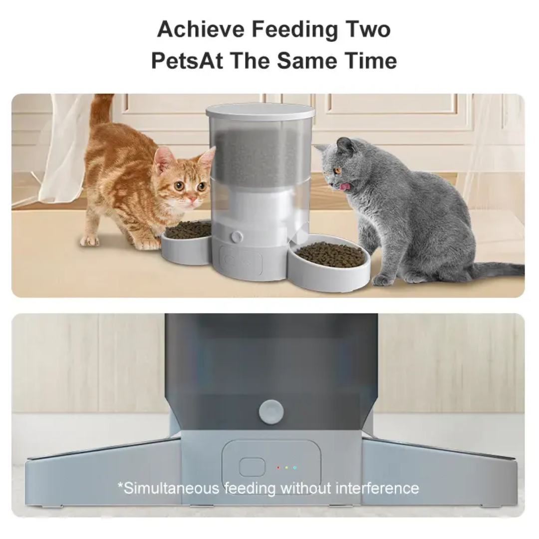 Elecpet Tuya Smart WiFi Automa - Food Storage Not Plastic recensione e prezzo