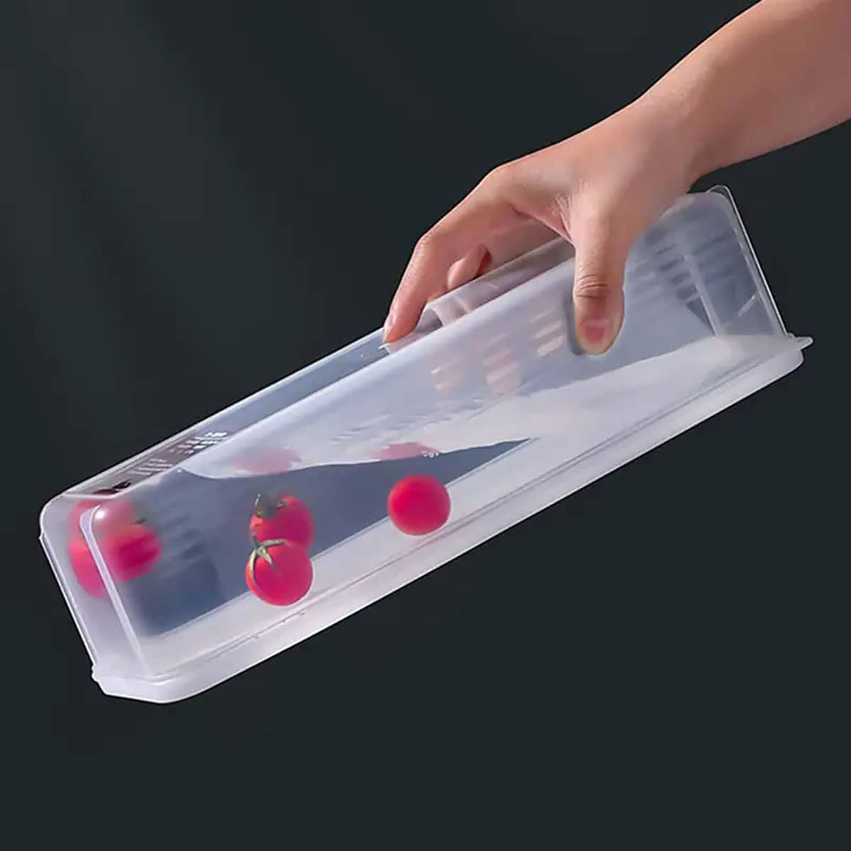 1 Plastic Transparent Storage  - Food Storage Order recensione e prezzo